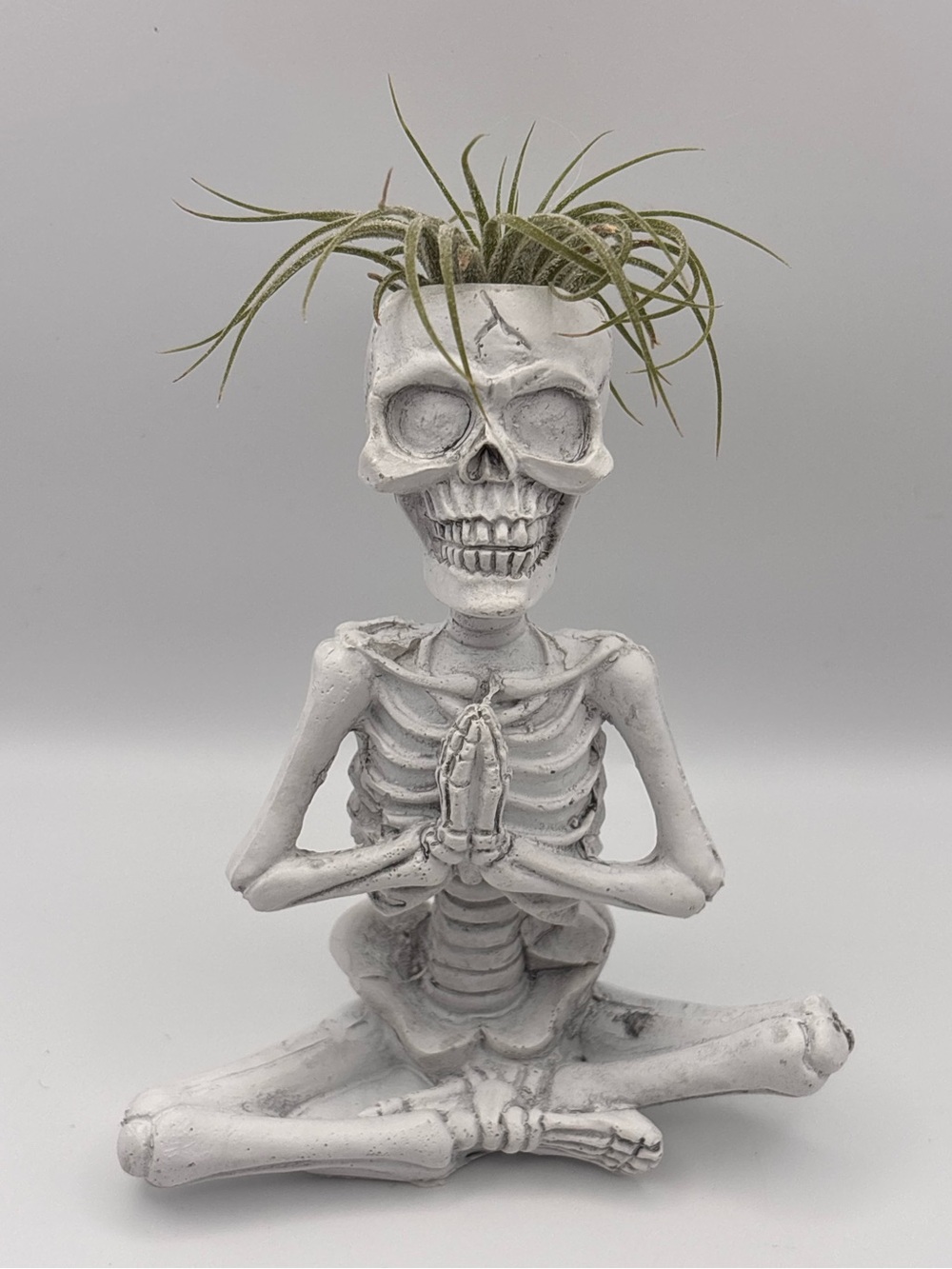 Yogi Skeleton Air Plant Holder, Meditating Skeleton, Halloween Decor, Planter